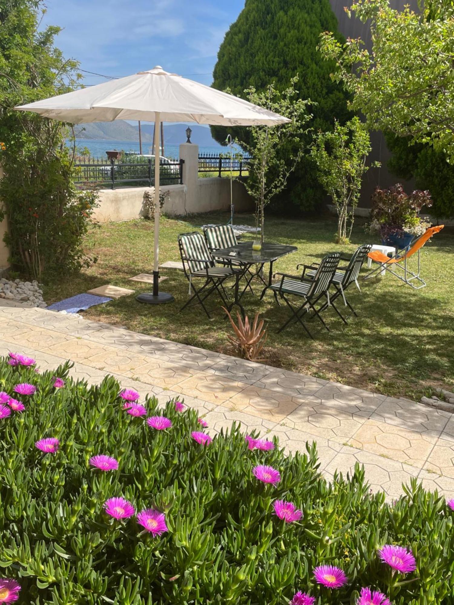 Sea View Studio Kirra 外观 照片
